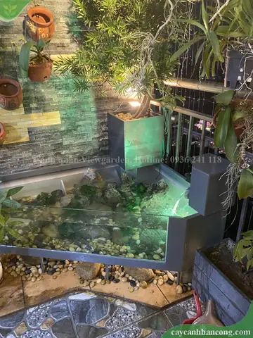Bể Cá Kết Hợp Chậu Trồng Cây Tiện Lợi, Độc Đáo Cho Ban Công