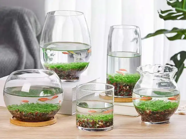 Bể Cá Trong Tiếng Anh Là Gì? Cách Dùng, Cụm Từ Liên Quan Và Mẹo Ghi Nhớ