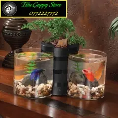 Bể Cá Thủy Tinh Hình Trụ Tròn - Thích Hợp Nuôi Cá, Làm Thủy Sinh ...