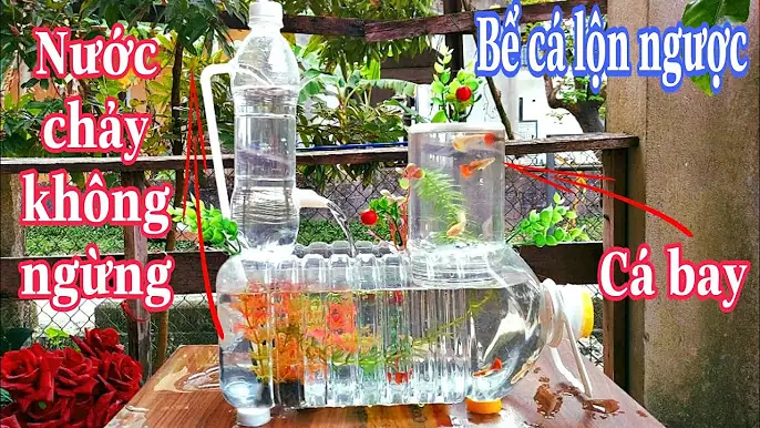 10+ Mẫu Bể Cá Từ Chai Nhựa Độc Đáo, Dễ Làm Cho Người Mới Bắt Đầu
