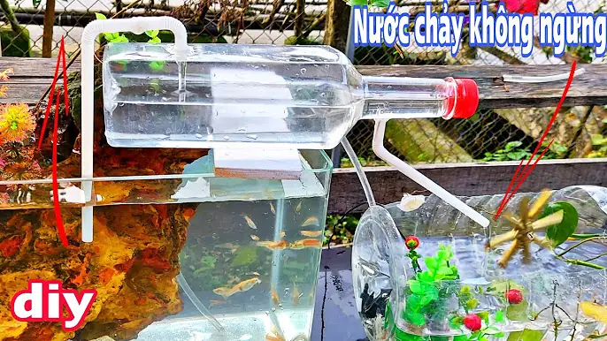 Cách Tự Chế Đèn Led Cho Bể Cá Đơn Giản, An Toàn Và Hiệu Quả