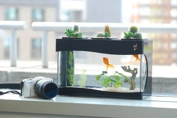 Chuẩn Bị Vật Liệu.