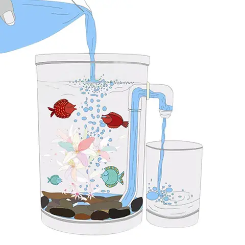 Bể Cá Tự Làm Sạch