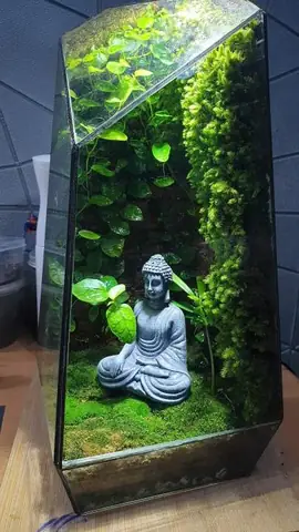 Bể Cá Tượng Phật: Ý Nghĩa Phong Thủy Và Những Lưu Ý Khi Setup