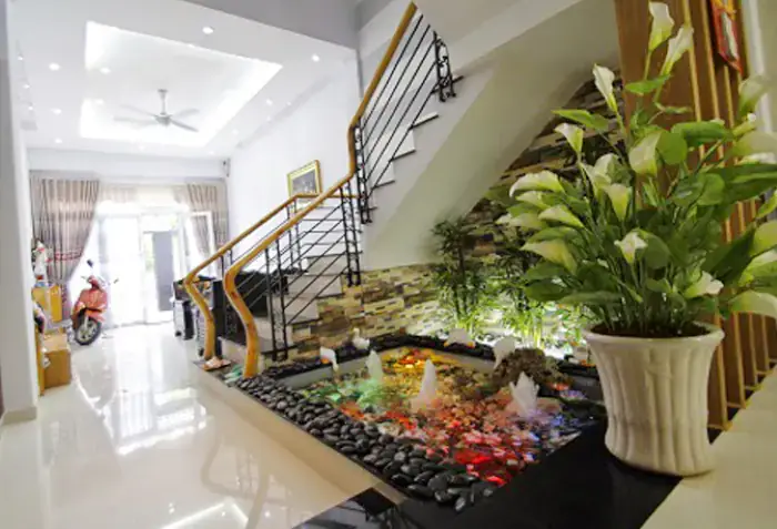 Hồ Nuôi Cá Koi Trong Nhà Cần Đáp Ứng Tiêu Chí Nào?