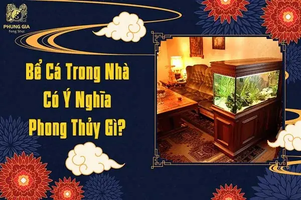 Bể Cá Trong Nhà Có Ý Nghĩa Phong Thủy Gì?