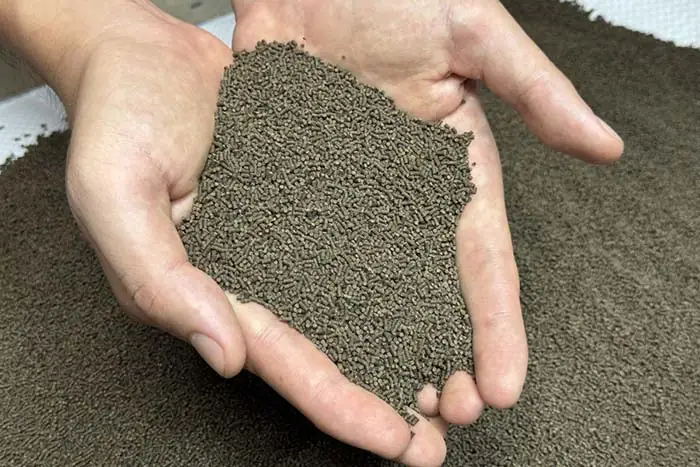 Tôm Sử Dụng Thức Ăn Kém Chất Lượng Có Hậu Quả Gì