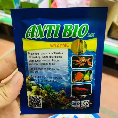Men Tiêu Hóa Anti Bio