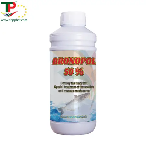 Bệnh Thối Đuôi Ở Cá Tra