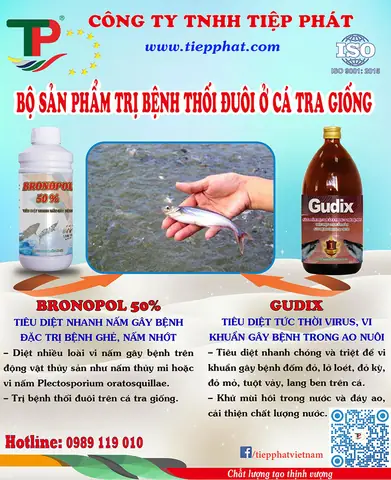Bộ Đôi Sản Phẩm Trị Bệnh Thối Đuôi Ở Cá Tra Giống