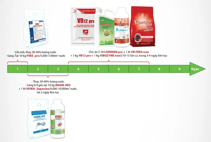 Bệnh Trắng Gan Trắng Mang Trên Cá Tra