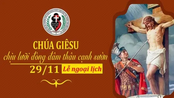 Bị Cá Nâu Đâm: Cách Xử Lý, Biến Chứng Nguy Hiểm Và Kinh Nghiệm Phòng Tránh