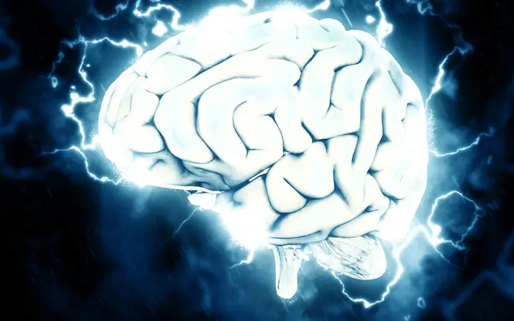 Tổng Quan Về Bệnh Dại