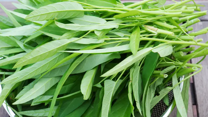 Hạn Chế Thực Phẩm Dễ Gây Mưng Mủ, Sẹo Lồi Hạn Chế Thực Phẩm Dễ Gây Mưng Mủ, Sẹo Lồi