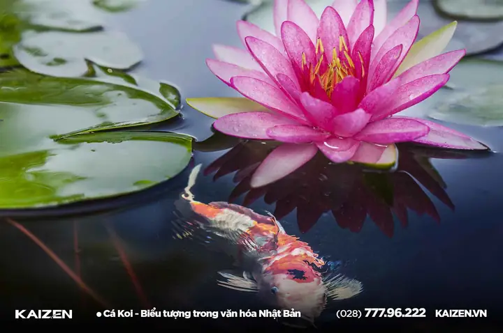 Biểu Tượng Cá Koi Biểu Tượng Cá Koi