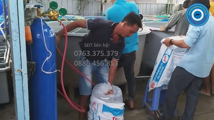 Bán & Đổi Bình Oxy Cá Giá Rẻ Tp.hcm