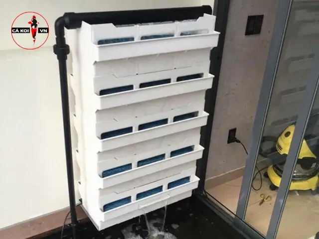 Hướng Dẫn Cách Lắp Đặt Thùng Lọc Bể Cá Koi