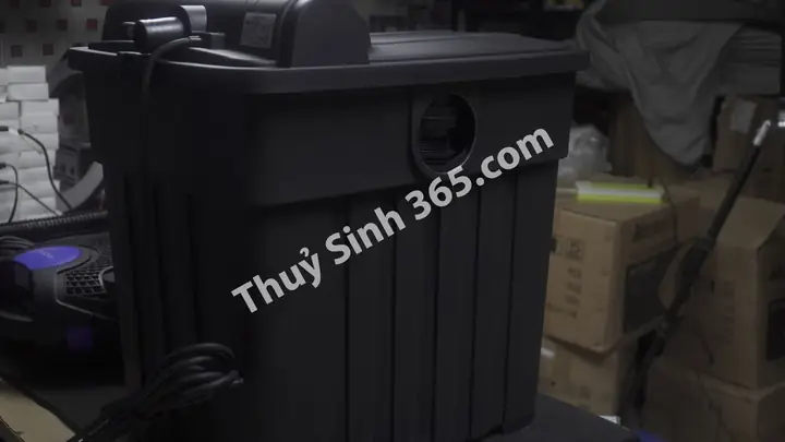Bộ Lọc Cho Hồ Cá Koi