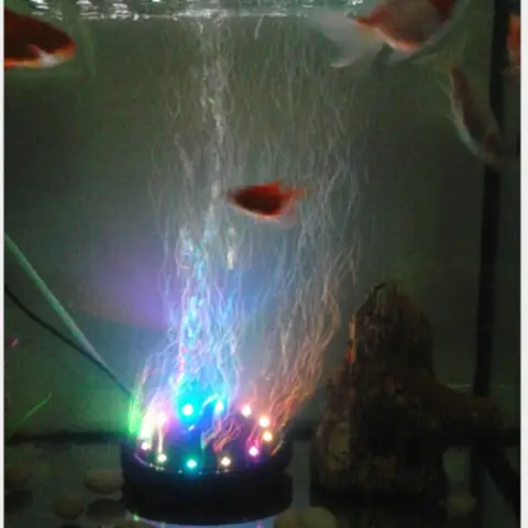 Bộ Đèn Led Đổi Màu Bể Cá Q9 Có Đầu Sủi Bọt Kèm Máy Tạo Khí Oxy Cho Bể Cá