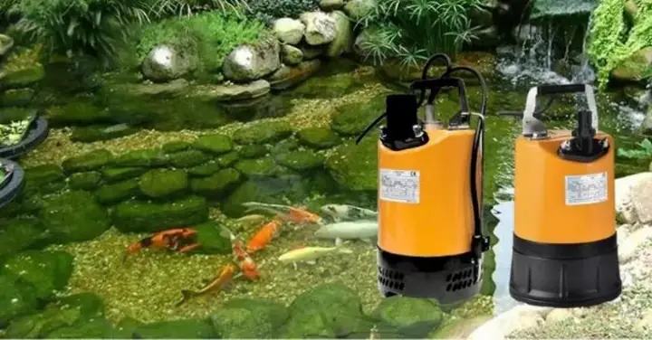Ứng Dụng Của Máy Bơm Chìm Hồ Cá 220v