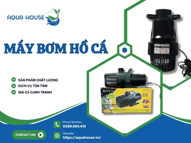 Máy Bơm Hồ Cá Chính Hãng Giá Rẻ Máy Bơm Hồ Cá Chính Hãng Giá Rẻ