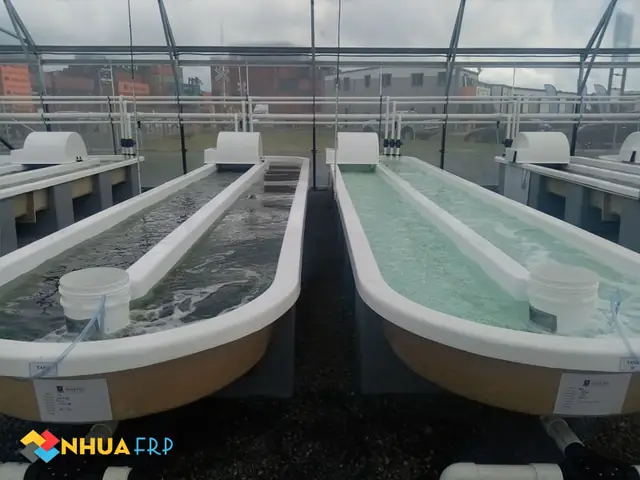 Mẫu Bồn Bể Compoisite Nuôi Cá, Thủy Sản