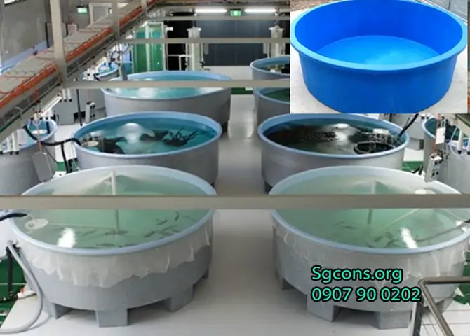 Bể Nhựa Composite Nuôi Cá, Composite Nuôi Thủy Sản Tại Sao Nên Sử Dụng?