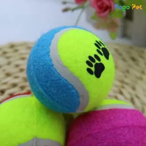 Bóng Tennis Cho Chó Bóng Tennis Cho Chó