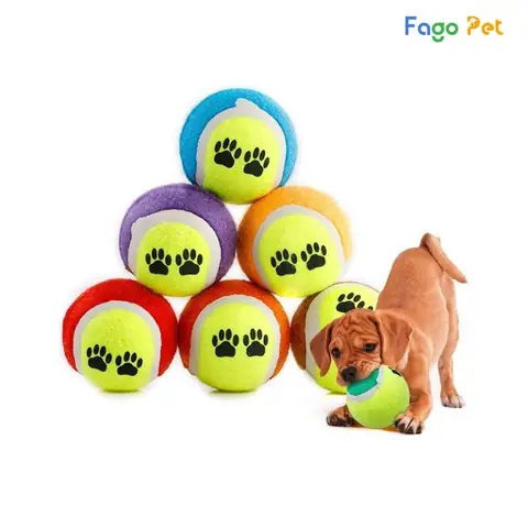 Kiểm Tra Định Kỳ Kiểm Tra Định Kỳ