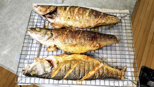 Branzino Là Cá Gì? Đặc Điểm, Môi Trường Sống Và Giá Trị Dinh Dưỡng