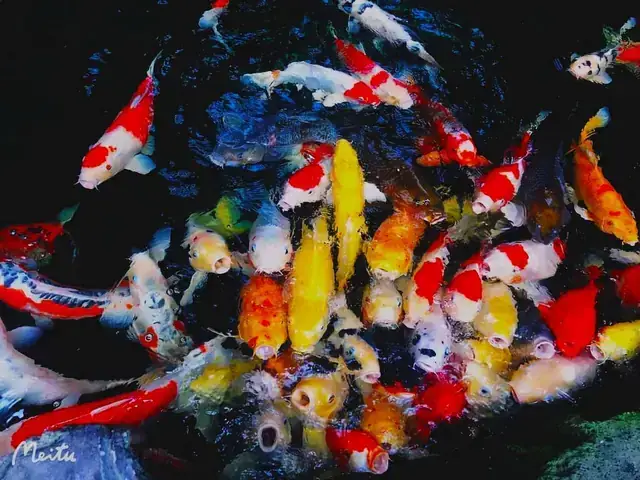 Giảm Căng Thẳng Và Lo Âu