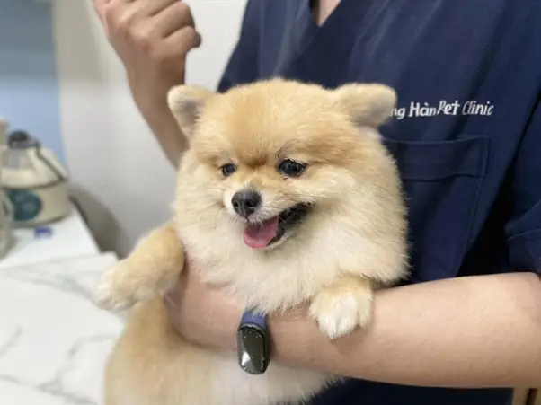 Theo Dõi Sức Khỏe Và Chăm Sóc Định Kỳ