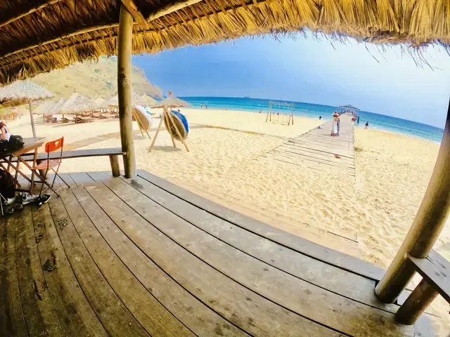 Tìm Hiểu Chung Về Cá 7 Màu (guppy)