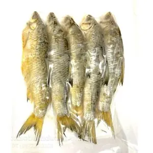 Lịch Sử Ra Đời Của Cá Muối Nga Astrakhan