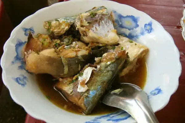 Cá Ba Thú Là Cá Gì? Giải Mã Thông Tin Về Loài Cá Này - Aquatech