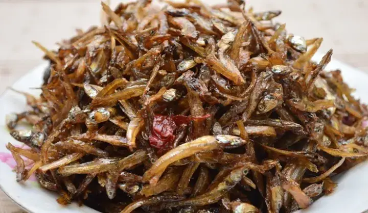 Thức Ăn Lý Tưởng Cho Cá Bạc Đầu Trong Bể Nuôi Thức Ăn Lý Tưởng Cho Cá Bạc Đầu Trong Bể Nuôi