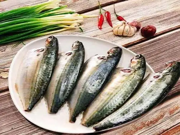 Cá Bạc Má Tiếng Anh Là Gì? Tổng Hợp Thông Tin Chi Tiết Về Loài Cá Phổ Biến