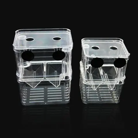 Sử Dụng Hộp Nhân Giống (lồng Đẻ) Tách Cá Con Ngay Khi Sinh