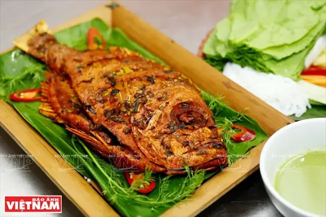 Giá Trị Kinh Tế Và Ứng Dụng