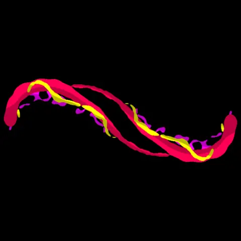 Liên Hệ - Shop Betta And Love