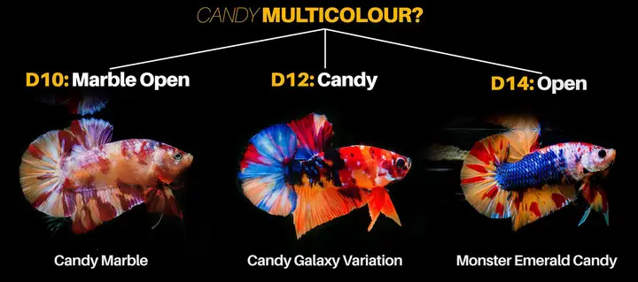 Đặc Điểm Sinh Học Của Cá