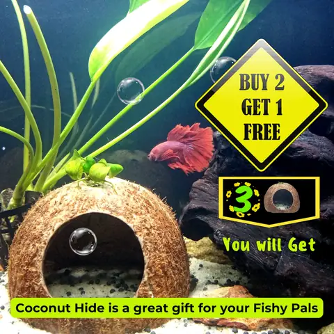 Fhiny Betta Fish Tunnel - Blue Aquarium Hideout With Super Strong ...