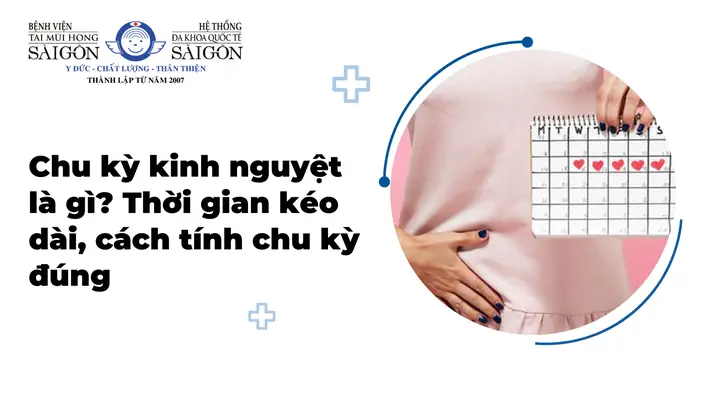 Chu Kỳ Kinh Nguyệt Chu Kỳ Kinh Nguyệt