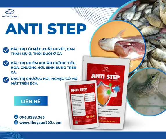 Cách Xử Lý Bệnh Thối Đuôi Cá Hiệu Quả - Thuysan365.com