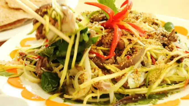 Phân Loại Và Đặc Điểm Nhận Dạng