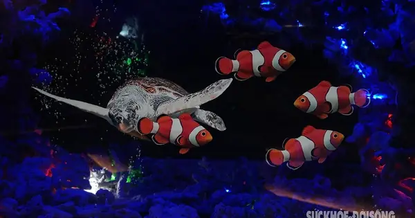 Cá Bơi Tung Tăng 'dưới Đại Dương Không Nước' Cá Bơi Tung Tăng 'dưới Đại Dương Không Nước'