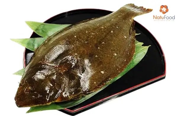 Giới Thiệu Chung Về Cá Bơn Thông Thường