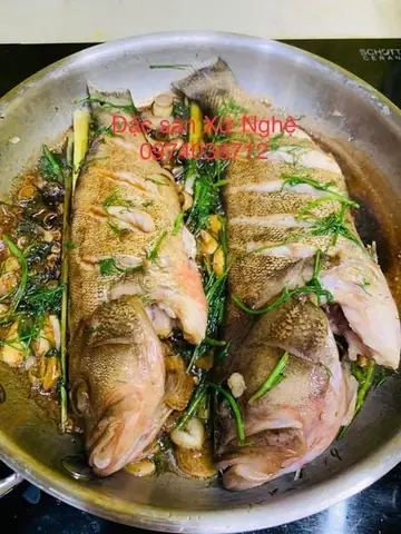 Cá Bóng Mú Là Cá Sông Hay Cá Biển