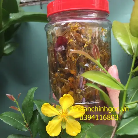 Đôi Nét Về Đặc Sản Cá Bống Sông Trà Nổi Tiếng Quảng Ngãi