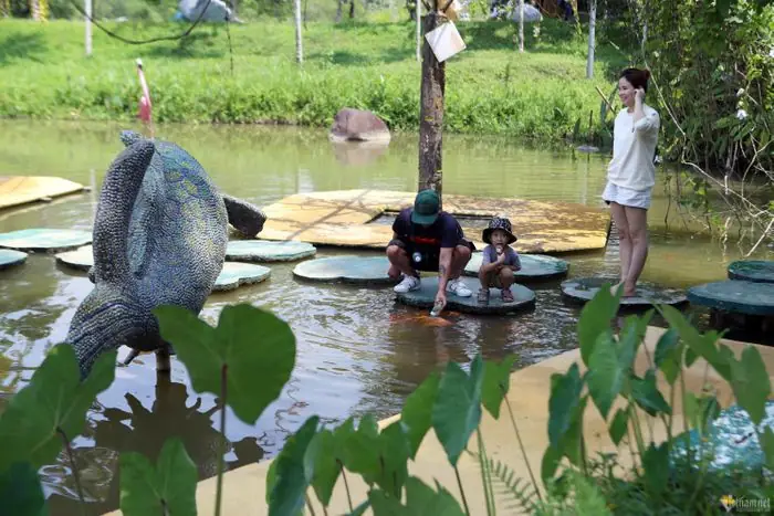 Cá Bú Bình Ở Khánh Hòa: Khám Phá Loài Cá Độc Đáo